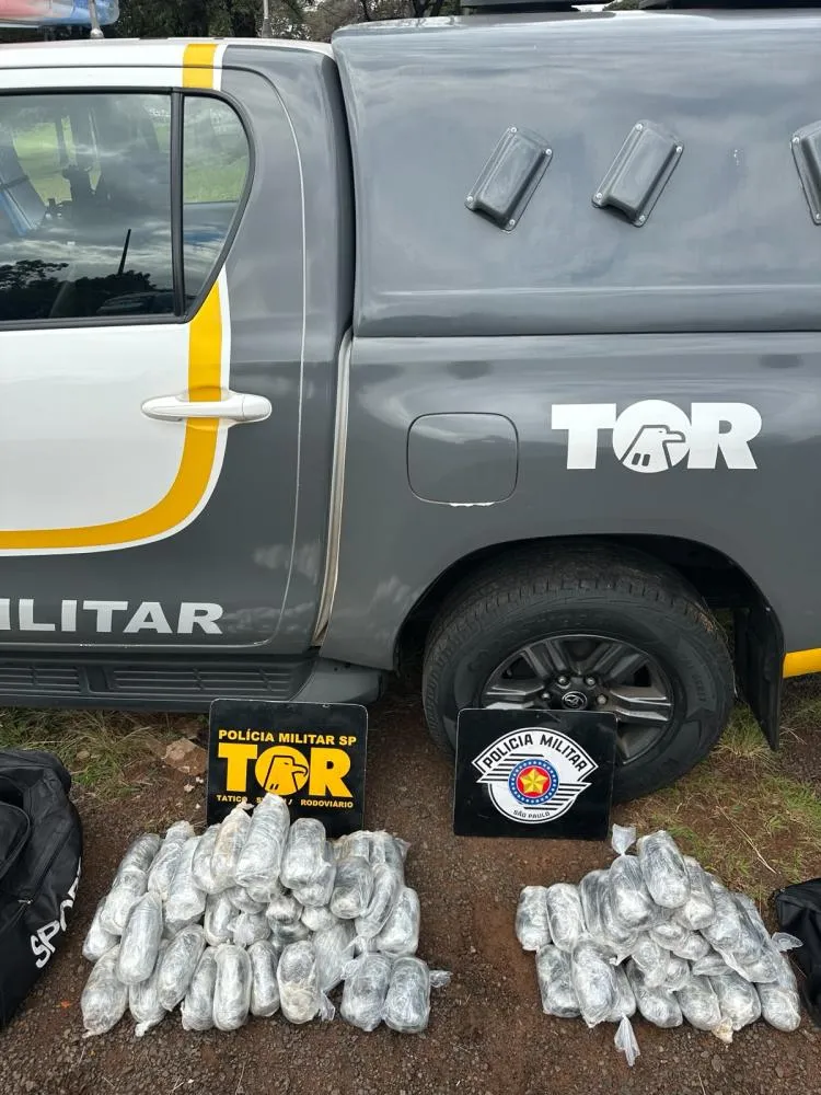 FOTO - DIVULGAÇÃO PMR/SP
