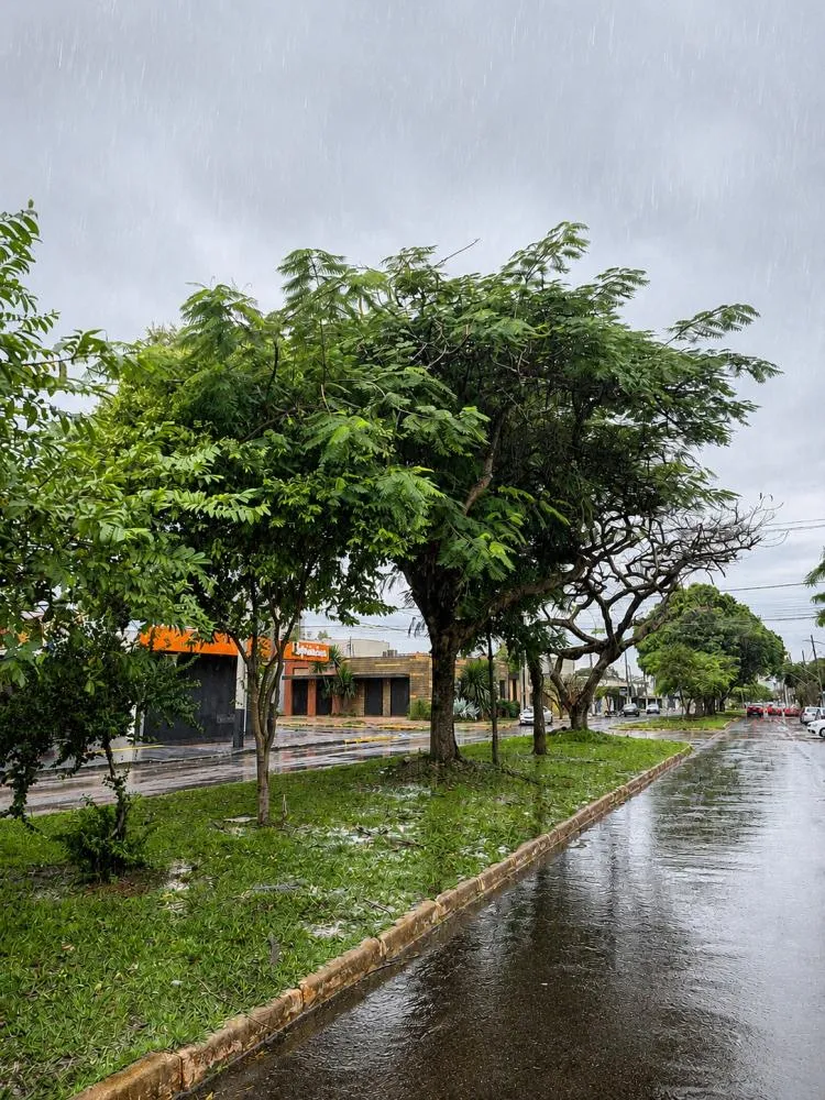 FOTO - FÁBIO DORTA